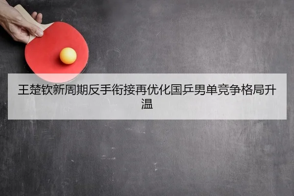王楚钦新周期反手衔接再优化国乒男单竞争格局升温